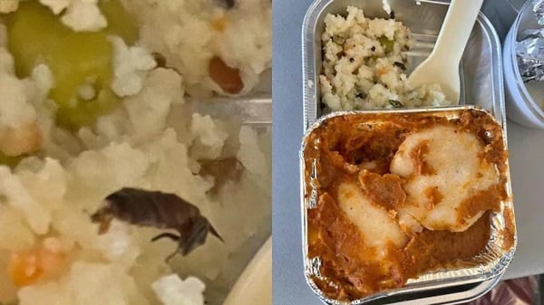 फ्लाइट के खाने में मिला मरा हुआ कॉकरोच ! जानिए क्या है पूरा मामला