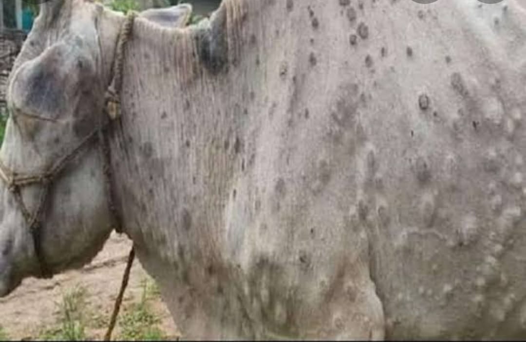 धनबाद में वायरस ने दी दस्तक,सरकार से मिले 37000 डोज,जानिए विभाग की क्या है तैयारी