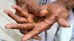 एक चुटकी खैनी की ताकत तुम क्या जानो बाबू, जानिए इस खैनी ने क्या-क्या कराया