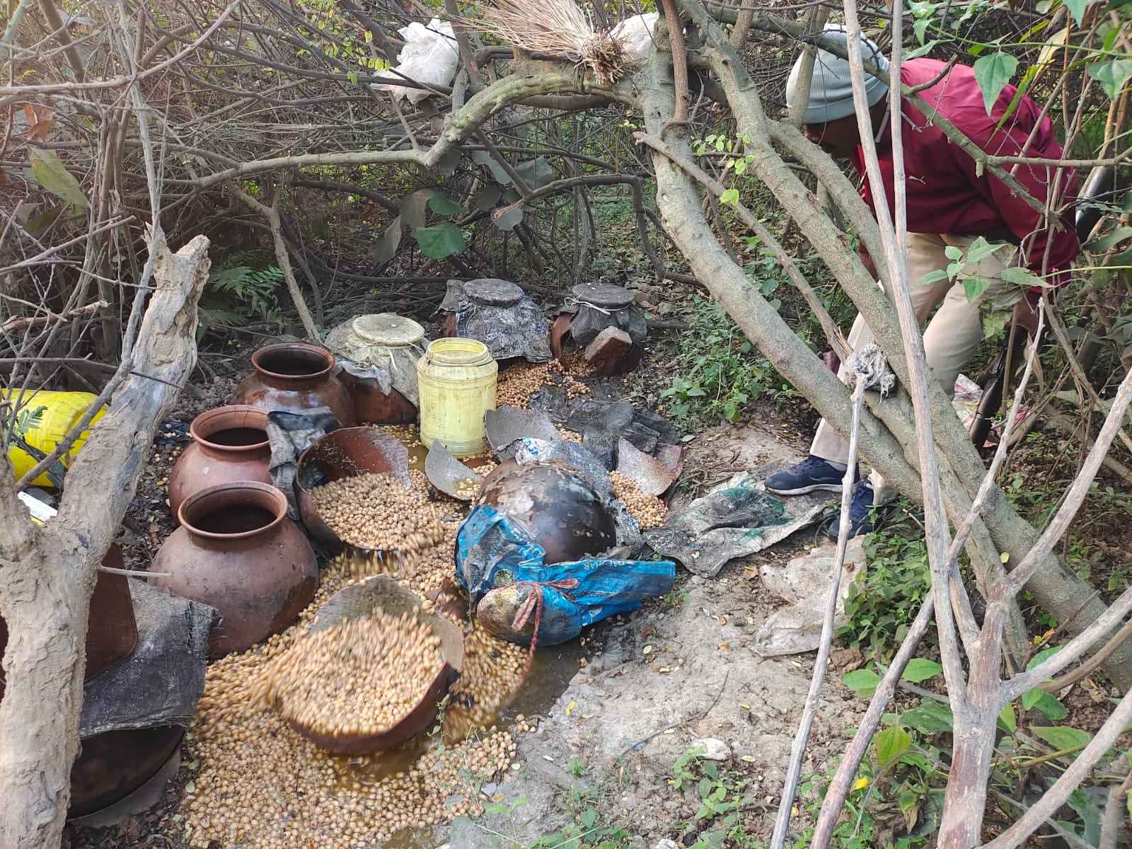 अवैध शराब के विरूद्ध प्रशासन का जांच अभियान, कहीं 600 किलोग्राम जावा महुआ किया गया नष्ट, तो कहीं से  30 लीटर अवैध शराब बरामद