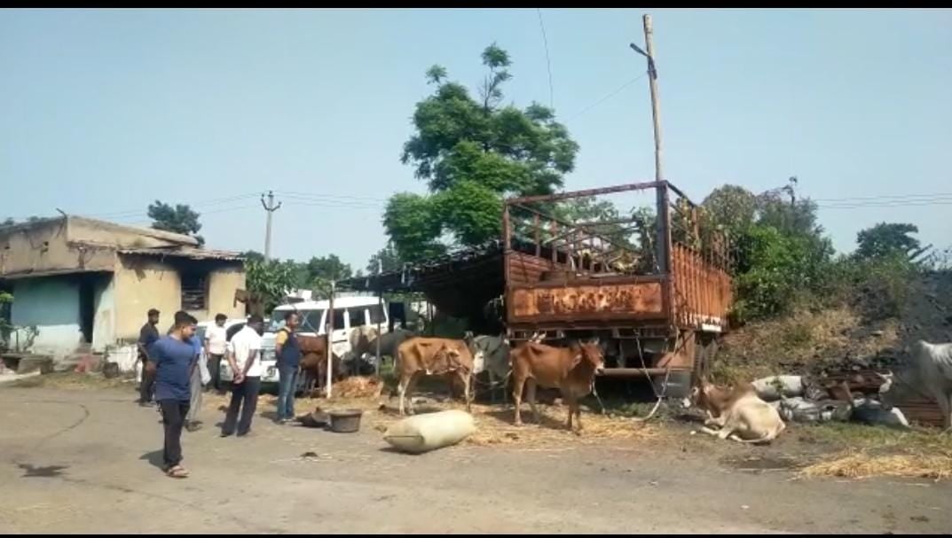 यह है धनबाद, स्कॉर्पियो के बाद टवेरा से पशुओं की तस्करी का हुआ खुलासा,जानिए पूरा डिटेल्स