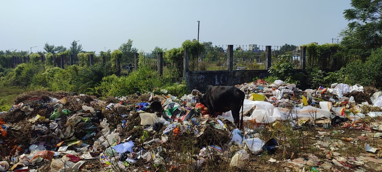 दुमका: सिरदर्द बना शहर का कचरा, वाटर पार्क के पास डम्प करने का विरोध शुरू