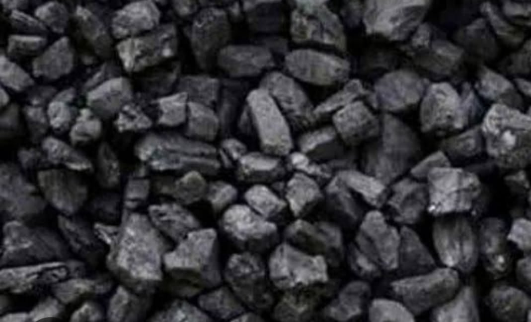 डीसी कार्यालय के सामने बच्चों संग करूंगी “आत्मदाह”, धनबाद पुलिस एक बार फिर सवालों के घेरे में, जानिए क्यों