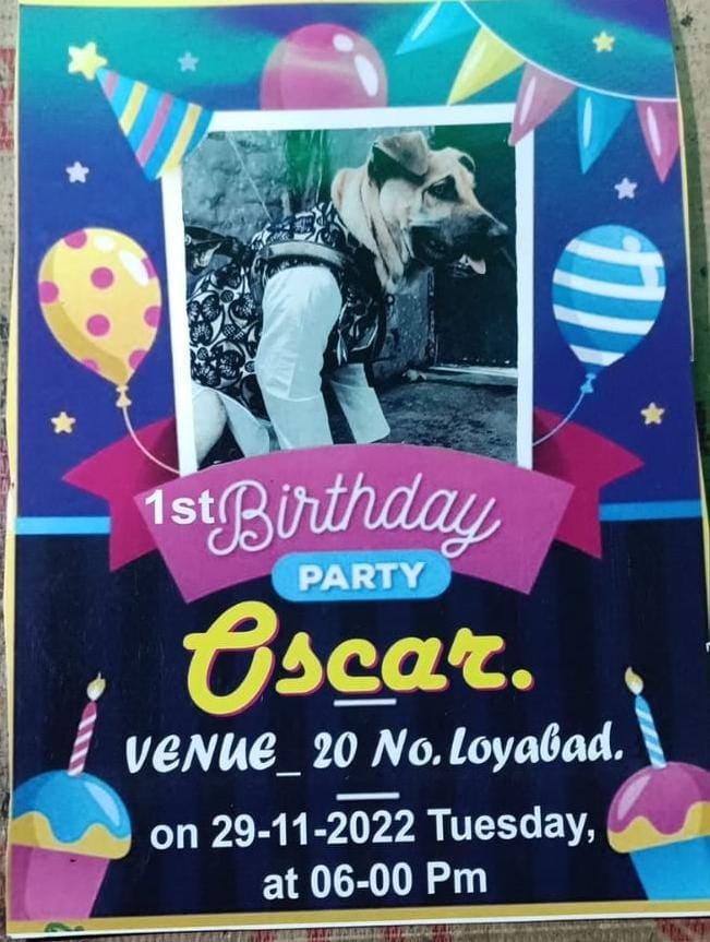 धनबाद में ऐसे मना कुत्ते का जन्मदिन कि पूरे शहर में हो रही इसकी चर्चा, जानिए