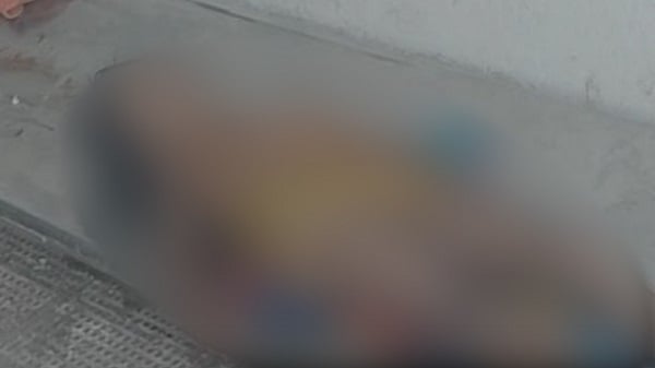 पलामू : तेंदुए के हमले से छह साल की बच्ची की मौत, इलाके में बाघ होने की अफवाह