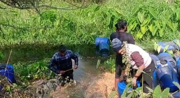 DHANBAD : बलियापुर के जोगनकोचा जंगल में चल रही थी शराब की भट्ठी, जानिए कैसे हुई नष्ट