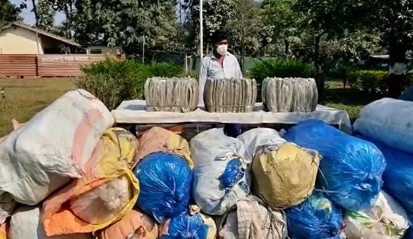 इंडो नेपाल बॉर्डर पर नेपाली गांजा तस्कर को SSB ने किया गिरफ्तार, 600 किलो गांजा जब्त