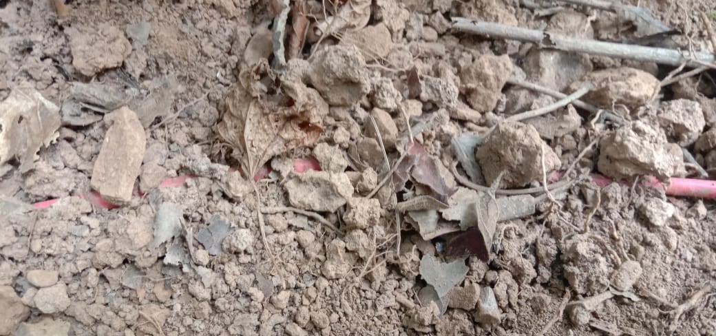 चाईबासा: नक्सलियों ने पुलिस को उड़ाने के लिए लगा रखा था 5-5 केजी के दो आईईडी बम, सर्च अभियान के दौरान पुलिस नें किया बरामद