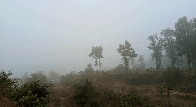 कोहरे की चपेट में आया झारखंड, अभी और ठंड बढ़ने के आसार