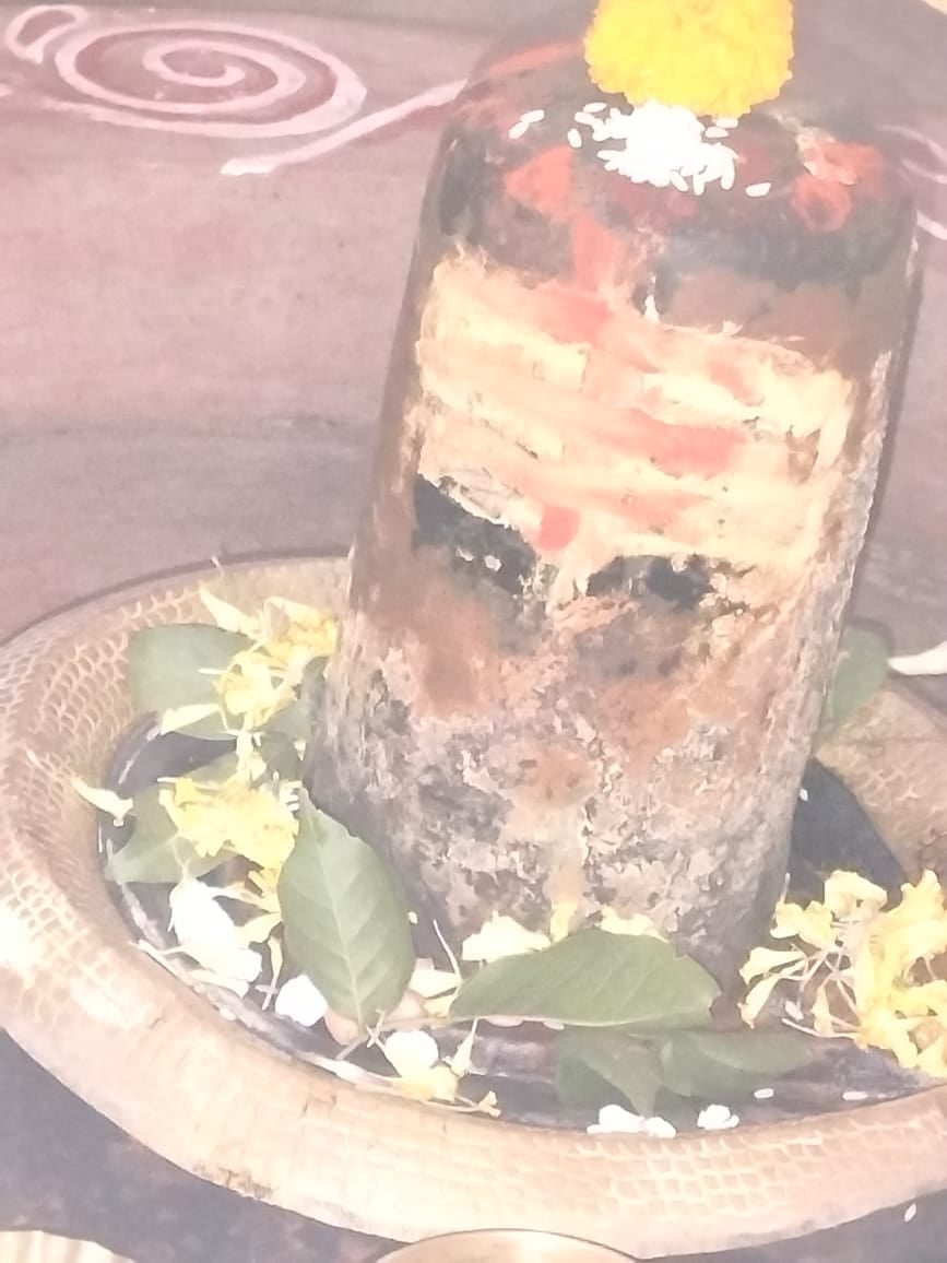 गजब करिश्मा! इस मंदिर में शिवचर्चा के दौरान शिवलिंग में उभरी नेत्र जैसी आकृति, दर्शन के लिए उमड़ी भक्तों की भीड़