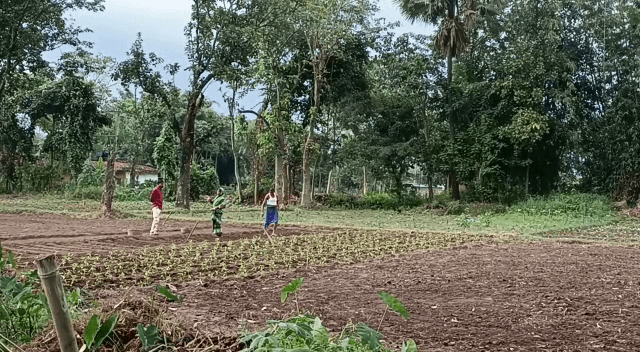 ₹265 का खाद मिल रहा  ₹400 में, किसान परेशान