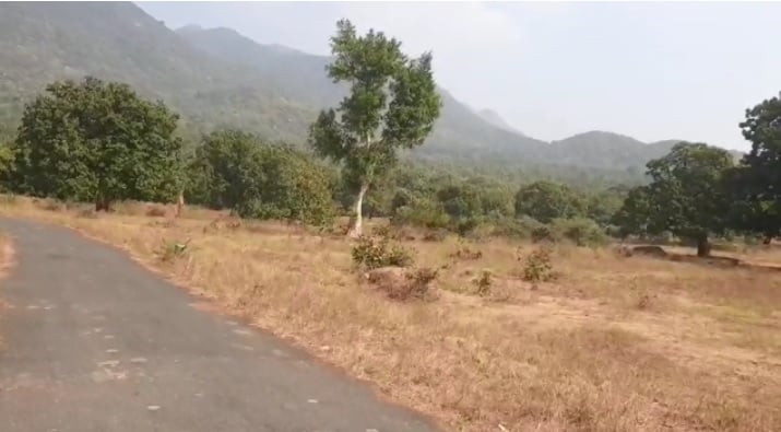 गिरिडीह में धड़ल्ले से फलफूल रहा है अवैध कोयले का कारोबार, पुलिस प्रशासन खामोश