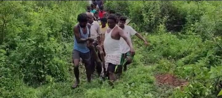 जंगल में पत्ता चुनने गए बुजुर्ग की हाथियों के कुचलने से मौत