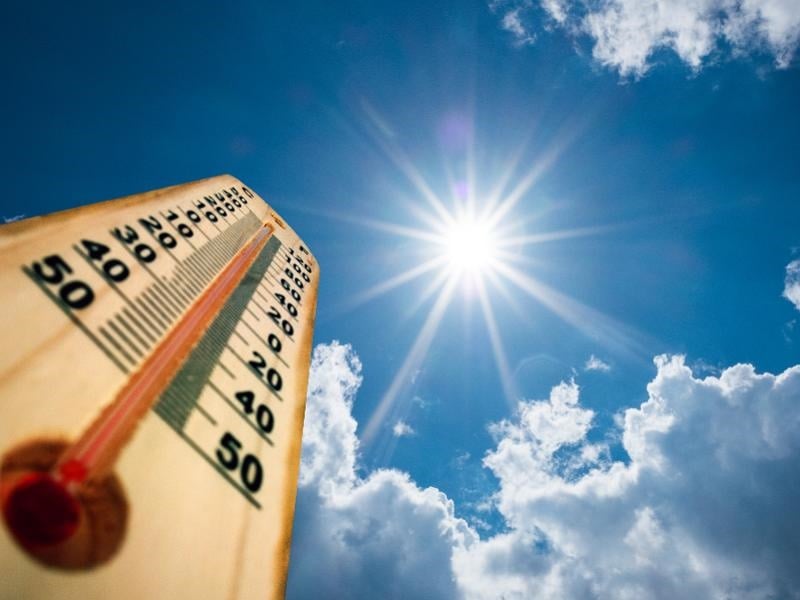 मार्च में गर्मी करेगी परेशान, केंद्र सरकार ने जारी की एडवाइजरी, क्यों किया एलर्ट