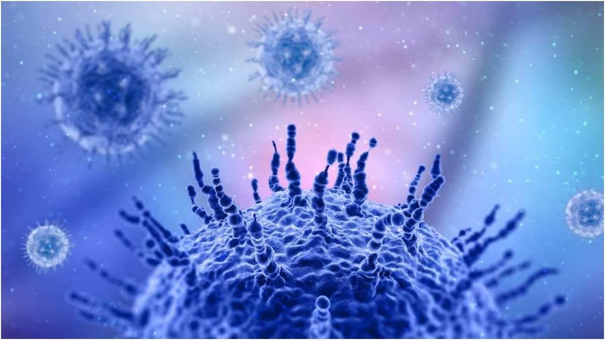 बर्ड फ्लू के बाद अब इस नए वायरस ने दी झारखंड में दस्तक, भारतीय चिकित्सा अनुसंधान परिषद की ओर से अलर्ट जारी