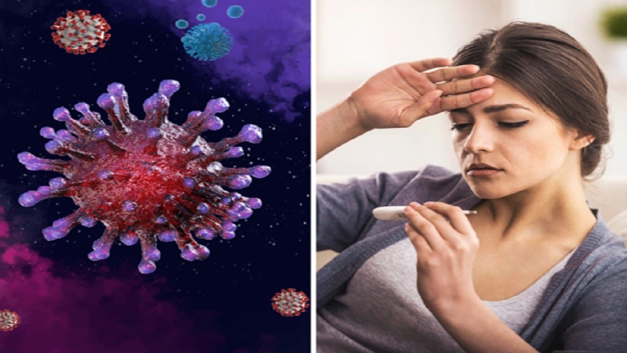 बिहार में मिला H3N2 इन्फ्लूएंजा वायरस का पहला मामला, सैंपल की जांच में एक महिला संक्रमित