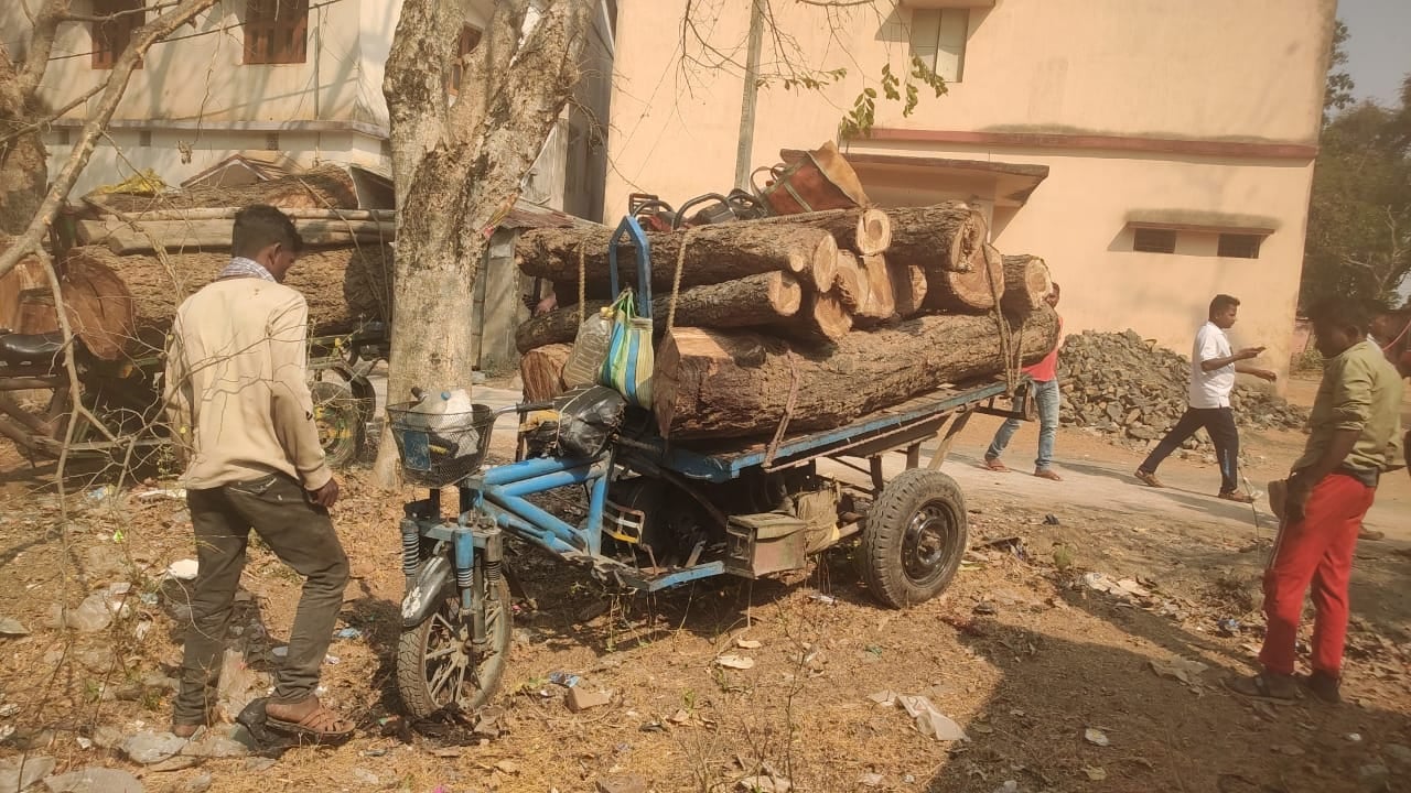 शिकारीपाड़ा में बेख़ौफ़ वन माफिया दिन के उजाले में कर रहे थे लकड़ी परिवहन, पुलिस और वन विभाग की टीम ने ट्राली की जब्त