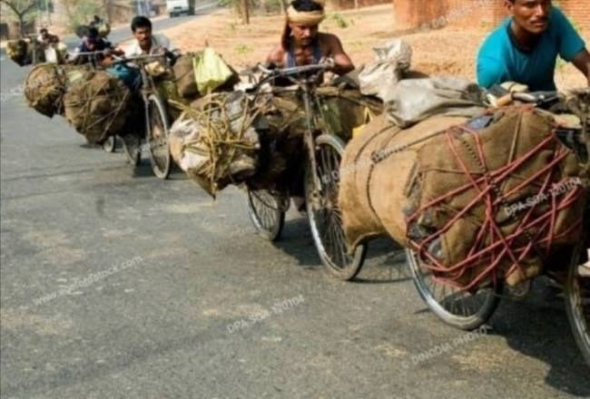 कोयलांचल में कोयला चोरों का मनोबल सातवें आसमान पर,  कोलियरी के मैनेजर को चोरों ने पीटकर किया घायल, नर्सिंग होम में चल रहा इलाज