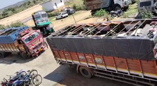 बंगाल ले जाया जा रहा तीन ट्रक गोवंश जब्त, तस्कर गिरफ्तार
