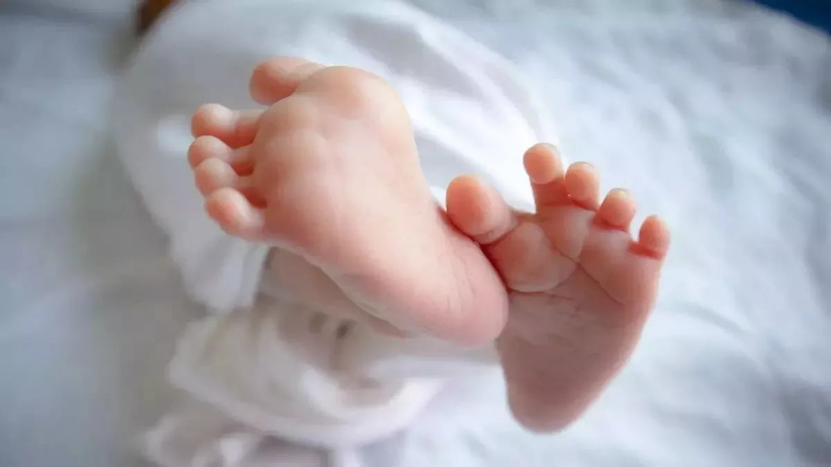शर्मनाक! कूड़े के ढेर से नवजात का शव बरामद, जांच में जुटी पुलिस