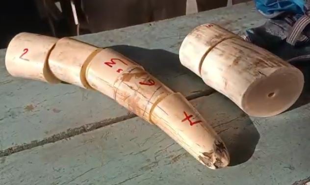 कटिहार रेलवे जंक्शन पर 7 किलो हाथी का दांत बरामद, 70 लाख आंकी गई कीमत