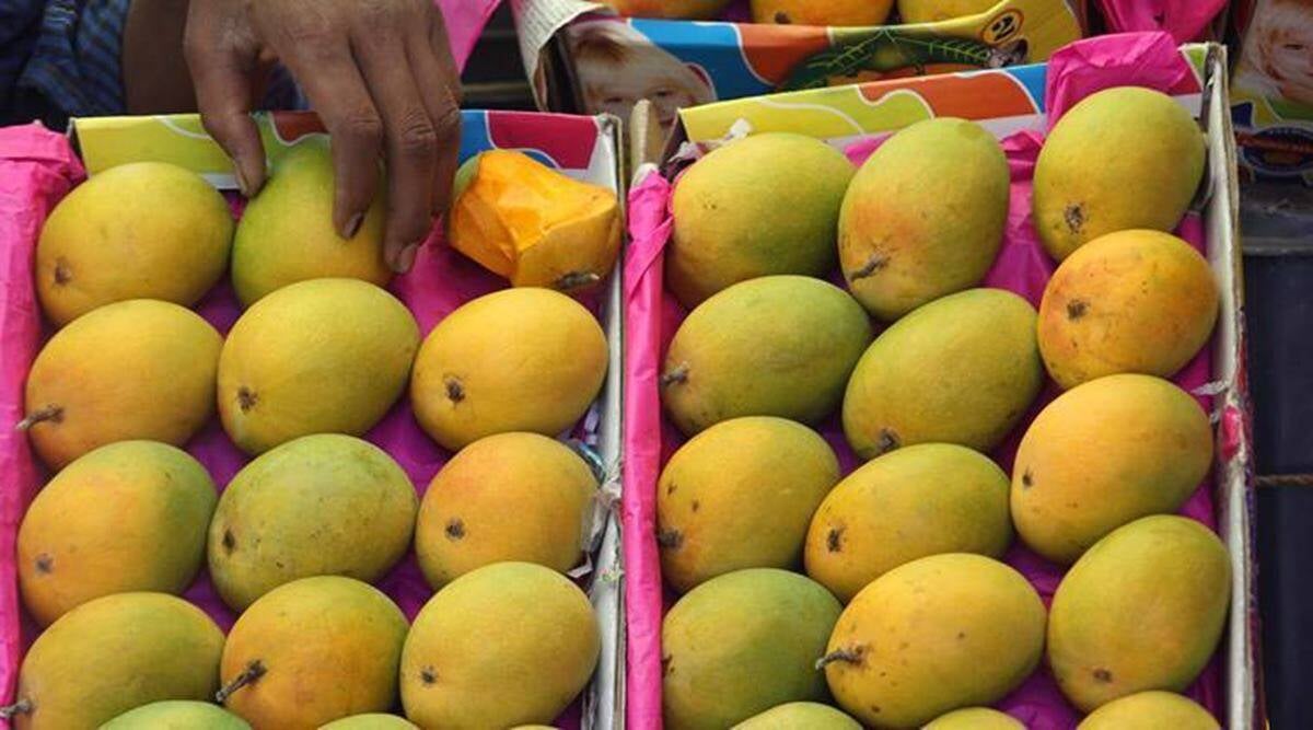 लीजिए अब आम भी खाइए EMI पर,   पुणे का एक फॉर्म जानिए किस्तों में कैसे ग्राहकों को उपलब्ध करा रहा है यह सुविधा