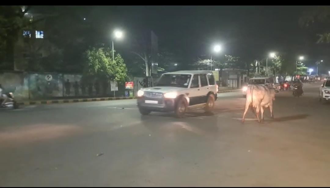 इस छटे बदमाश  ने जमशेदपुर में ढाया कहर, पुलिस भी नहीं लेना चाहती पंगा. देखिये यह रिपोर्ट