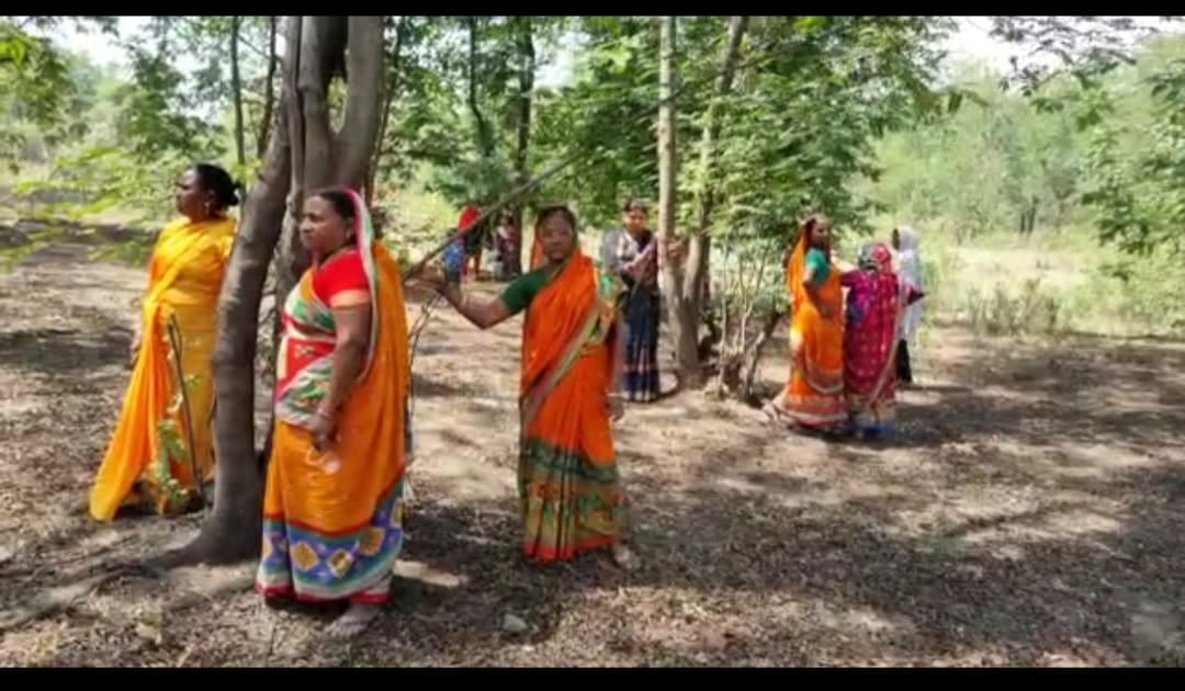 पेड़ काटने से पहले हिदायत, भुगतना पड़ेगा ये परिणाम, जानिए क्या है गांववालों का पेड़ बचाओ अभियान