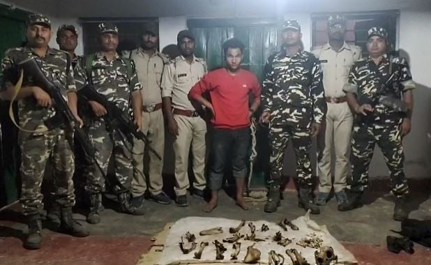 बेतिया में भारी मात्रा में तेंदुआ का कंकाल बरामद, एक नेपाली तस्कर गिरफ्तार