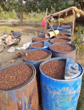 अवैध शराब भट्टी पर छापामारी,  1000 लीटर देसी शराब तथा 3000 किलो जावा महुआ किया नष्ट