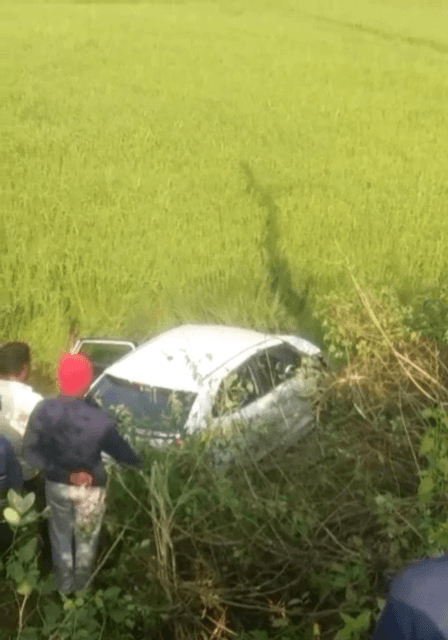 खेत में गिरी  कार,  बच्ची समेत पांच घायल