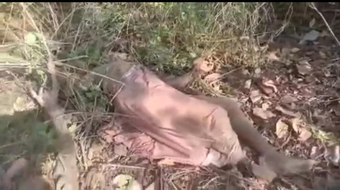 बोकारो: हाथी के हमले से वृद्ध की मौत,परिजनों ने किया मुआवजे की मांग