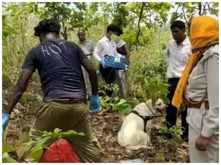 साहेबगंज: मालती सोरेन हत्याकांड की जांच तेज, मौके पर पहुंची एफएसएल और डॉग स्कवायड की टीम