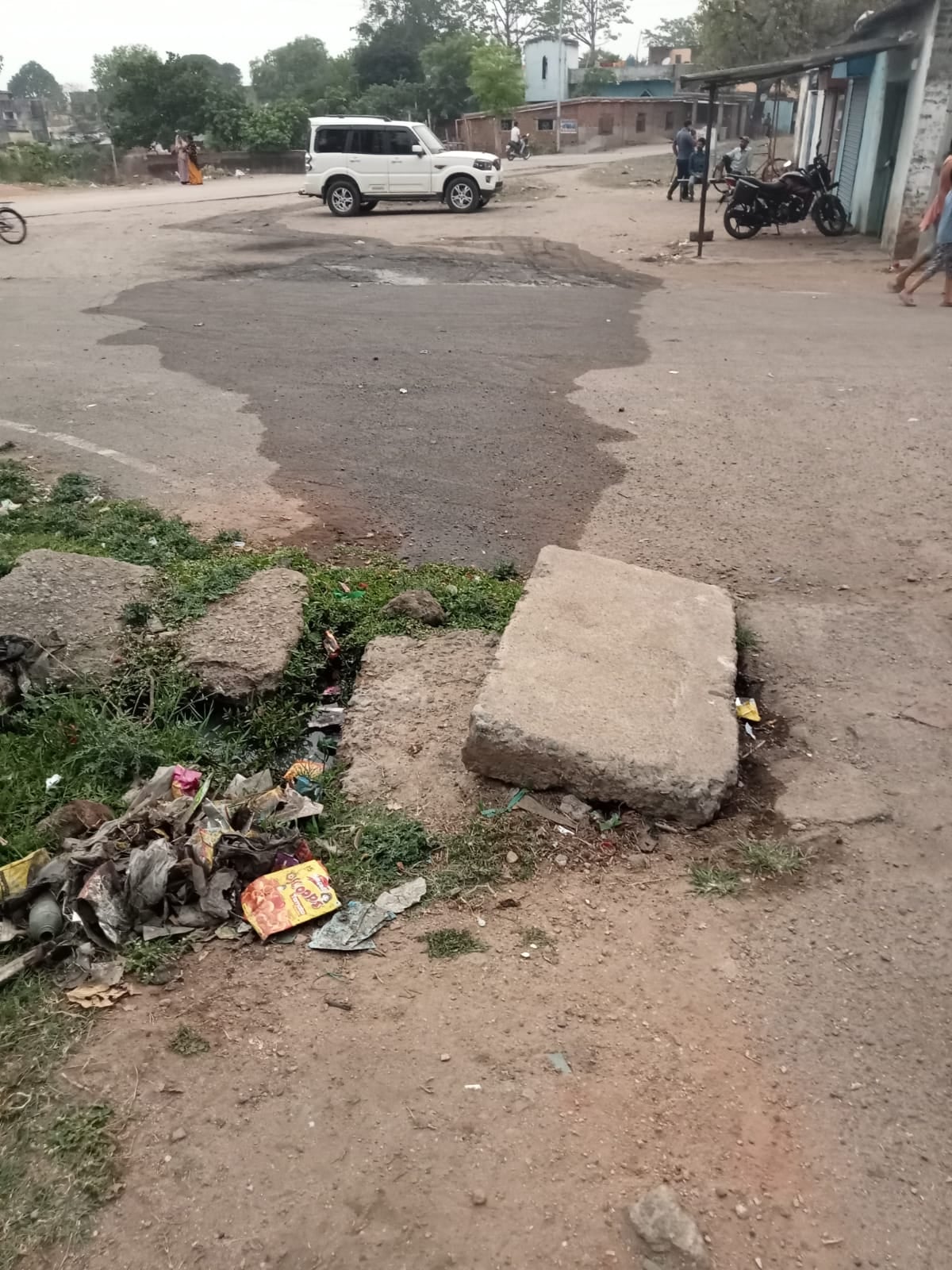 नाले का पानी कॉलोनी वासियों के लिए परेशानी, शिकायत के बाद भी अधिकारी नहीं दे रहे ध्यान