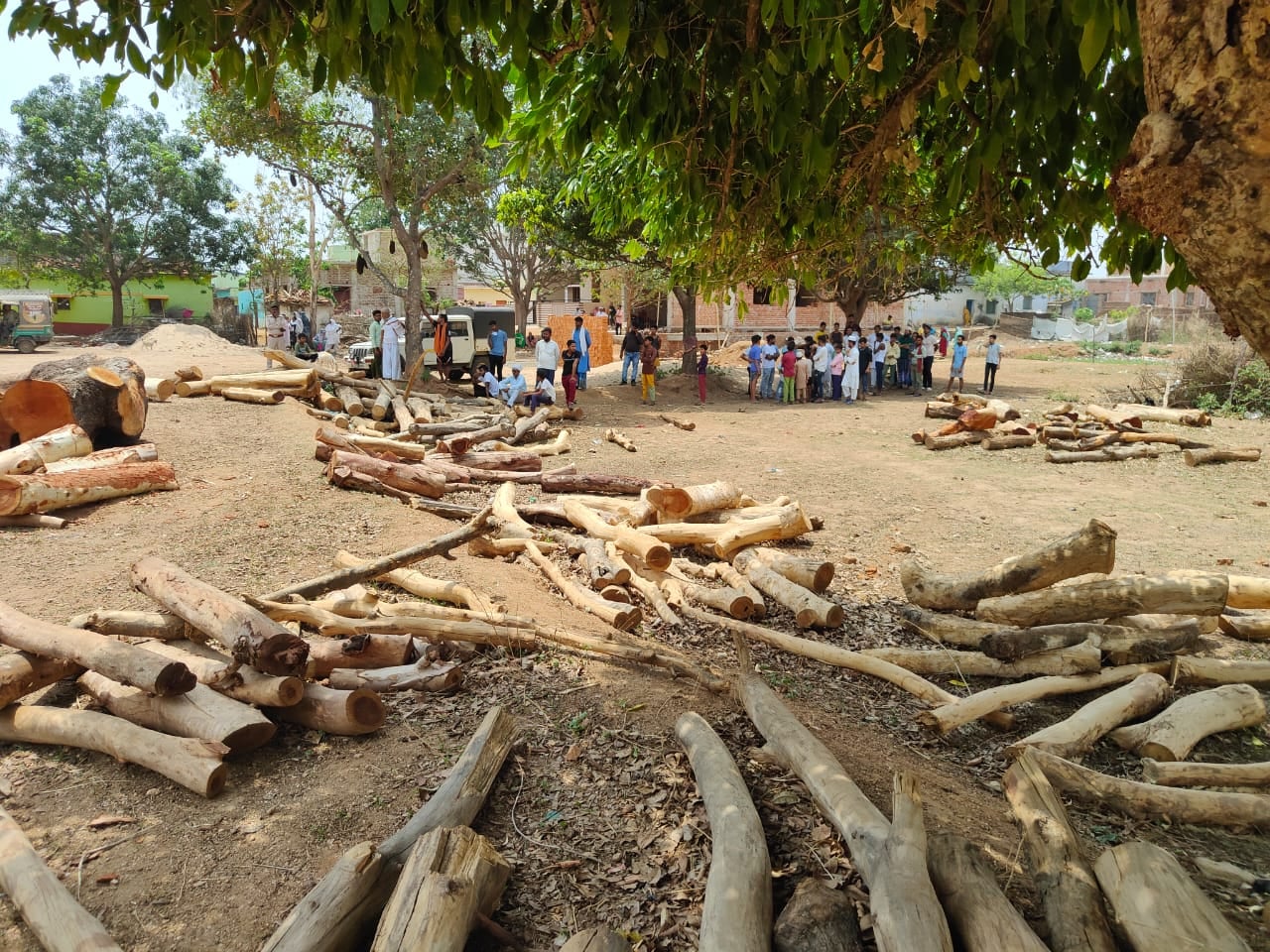 गिरिडीह: वन विभाग ने चार आरा मिलों को किया ध्वस्त, 20 लाख की लकड़ी जब्त