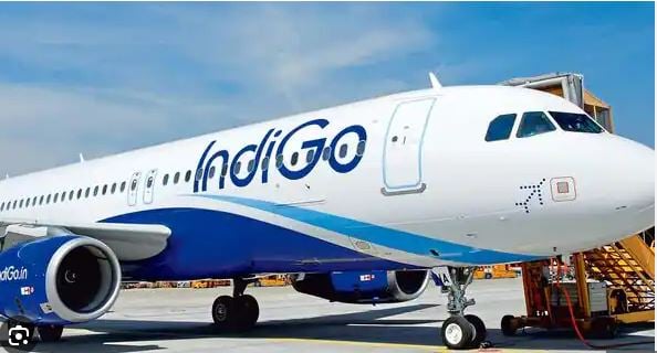 मंगलुरु में इंडिगो की फ्लाइट से टकराया एक परिंदा, दुबई जा रहे 160 मुसाफिरों की बाल-बाल बची जान, जानिए पूरी डिटेल्स