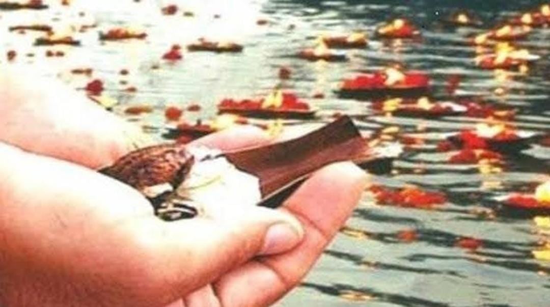 बेटी के भागकर शादी करने से नाराज पिता ने किया कुछ ऐसा, सब हो गये हैरान, पढ़े पूरी खबर