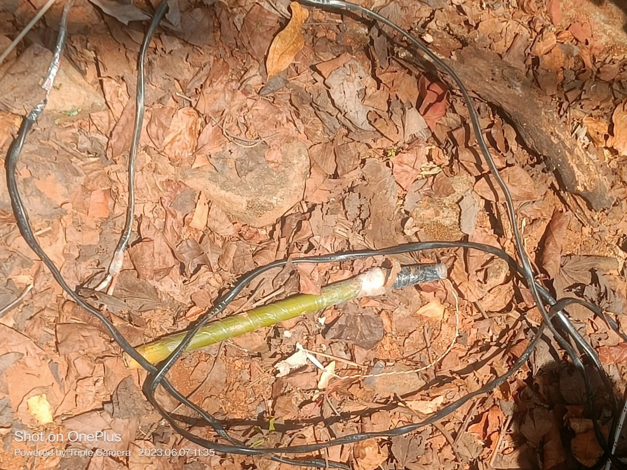 चाईबासा : पुलिस ने 34 किलो के पांच आईईडी बम किए बरामद, नक्सलियों के खिलाफ सर्च अभियान जारी