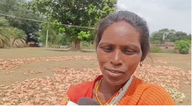 लोहरदगा के पठार में फैले पेड़-पौधे से ग्रामीणों की बदल रही जिंदगी, बीड़ी के पत्ते बेचकर हो रही आमदानी, देखिए यह रिपोर्ट