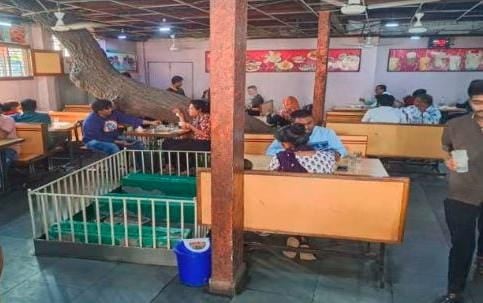 ऐसा टी स्टॉल जहां कब्रों के बीच बैठकर लोग पीते हैं चाय, जानें इस टी शॉप बनाने की वजह