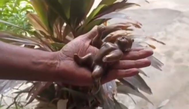 उप्र के दंपती से अष्टधातु की मूर्ति बरामद, पुलिस ने पकड़ा