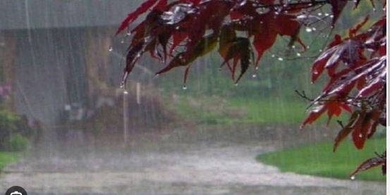 झारखंड में थोड़ा कमजोर हुआ मॉनसून, अगले चार दिनों में तापमान में होगी बढ़ोत्तरी!