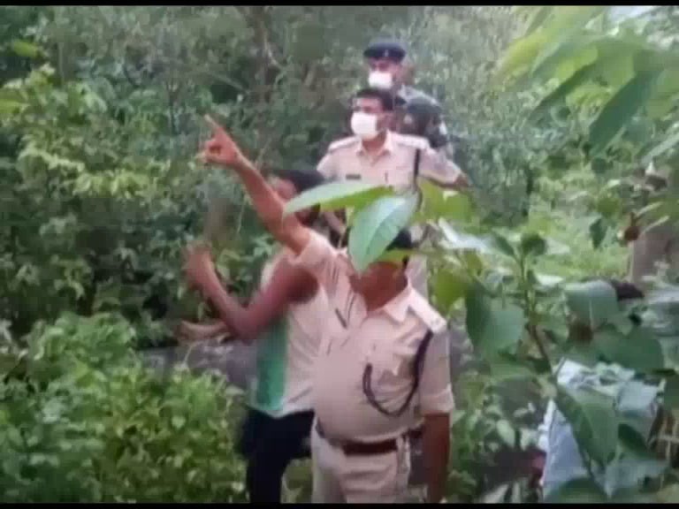 जंगल में लकडी चुनने गई नाबालिग युवती का शव बरामद, हत्या की आशंका