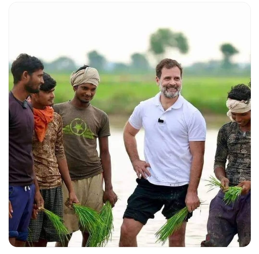 राहुल गांधी के धान रोपने से झारखंड में ट्वीट वार, पढ़िए किसने क्या कहा