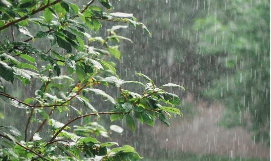 झारखंड के आठ जिलों में येलो अलर्ट, मौसम विभाग ने मूसलाधार बारिश की दी चेतावनी