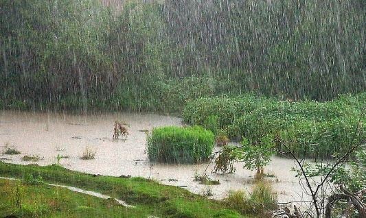 झारखंड में फिर बरसेगा जोरदार पानी, 17 जुलाई तक अच्छी बारिश की संभावना