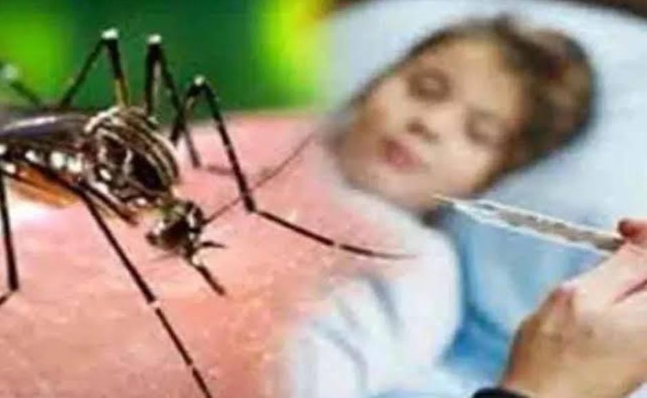 बरसात में बढ़ा डेंगू का खतरा, ये है इसके खतरनाक लक्षण, ऐसे करें बचाव