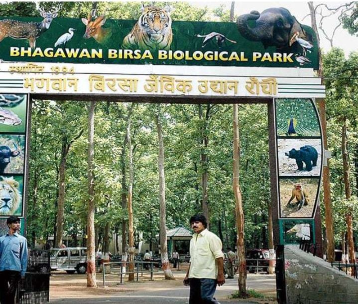 झारखंड में जल्द खुलेगा पूर्वी भारत का सबसे बड़ा तितली उद्यान, एक से दो महीने का लगेगा समय