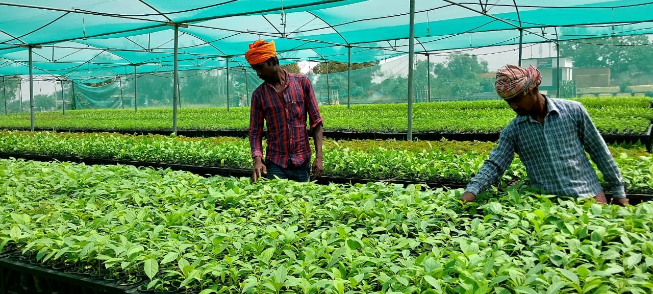 बढ़ी किसानों की चिंता : कृषि क्षेत्र से जीत  कर आनेवाले माननीय अब तो कुछ बोलिये