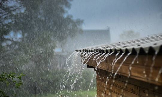 उम्मीदों के मुताबिक नहीं हुई झारखंड में बारिश, किसानों की बढ़ी चिंता